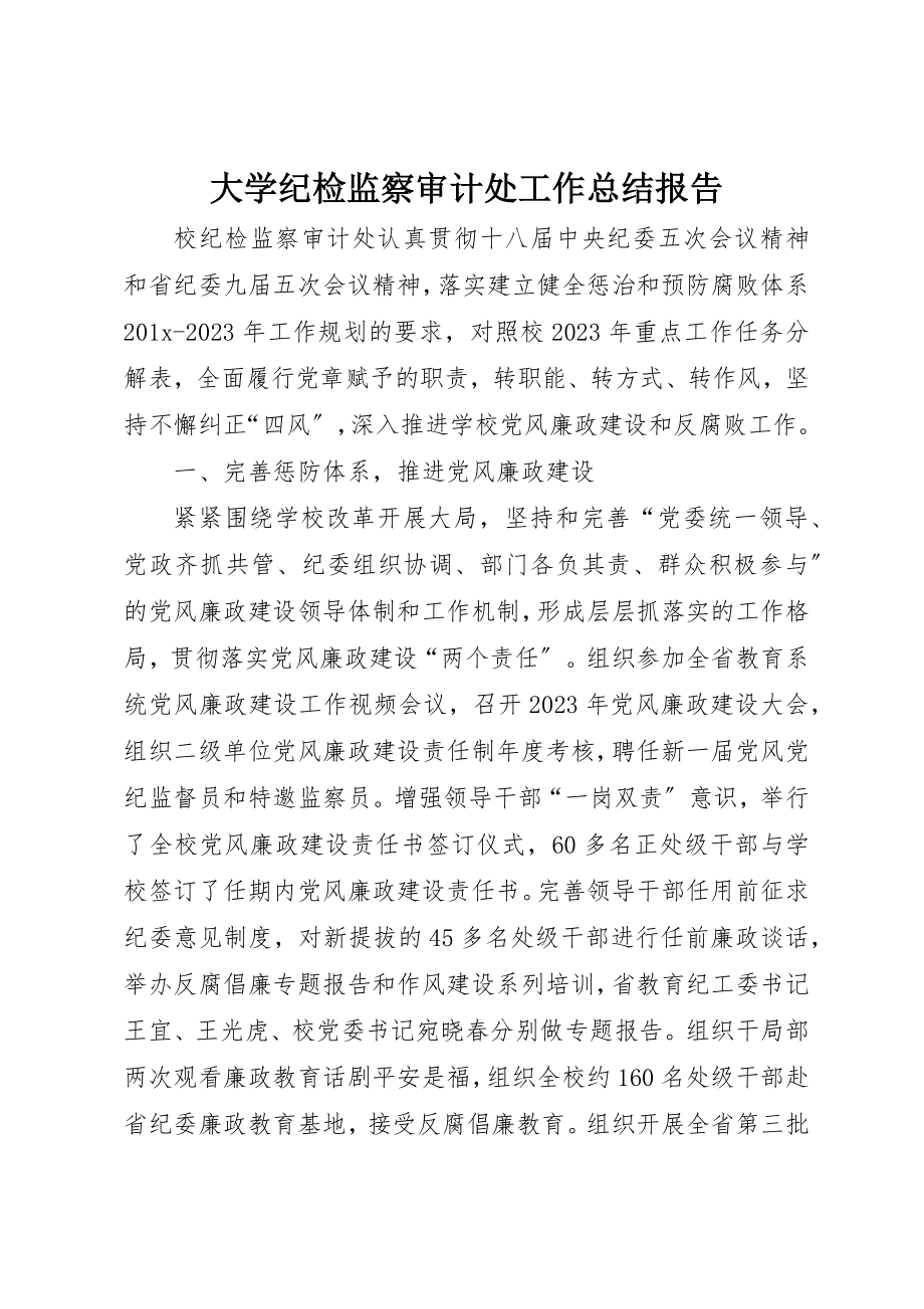 2023年大学纪检监察审计处工作总结报告新编.docx_第1页