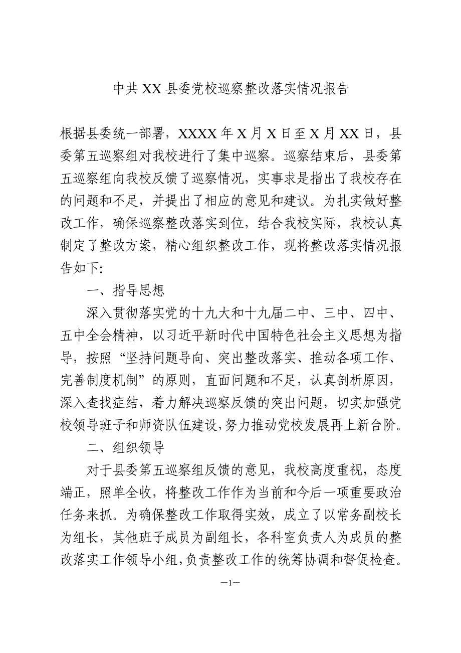 巡察整改落实情况报告.doc_第1页