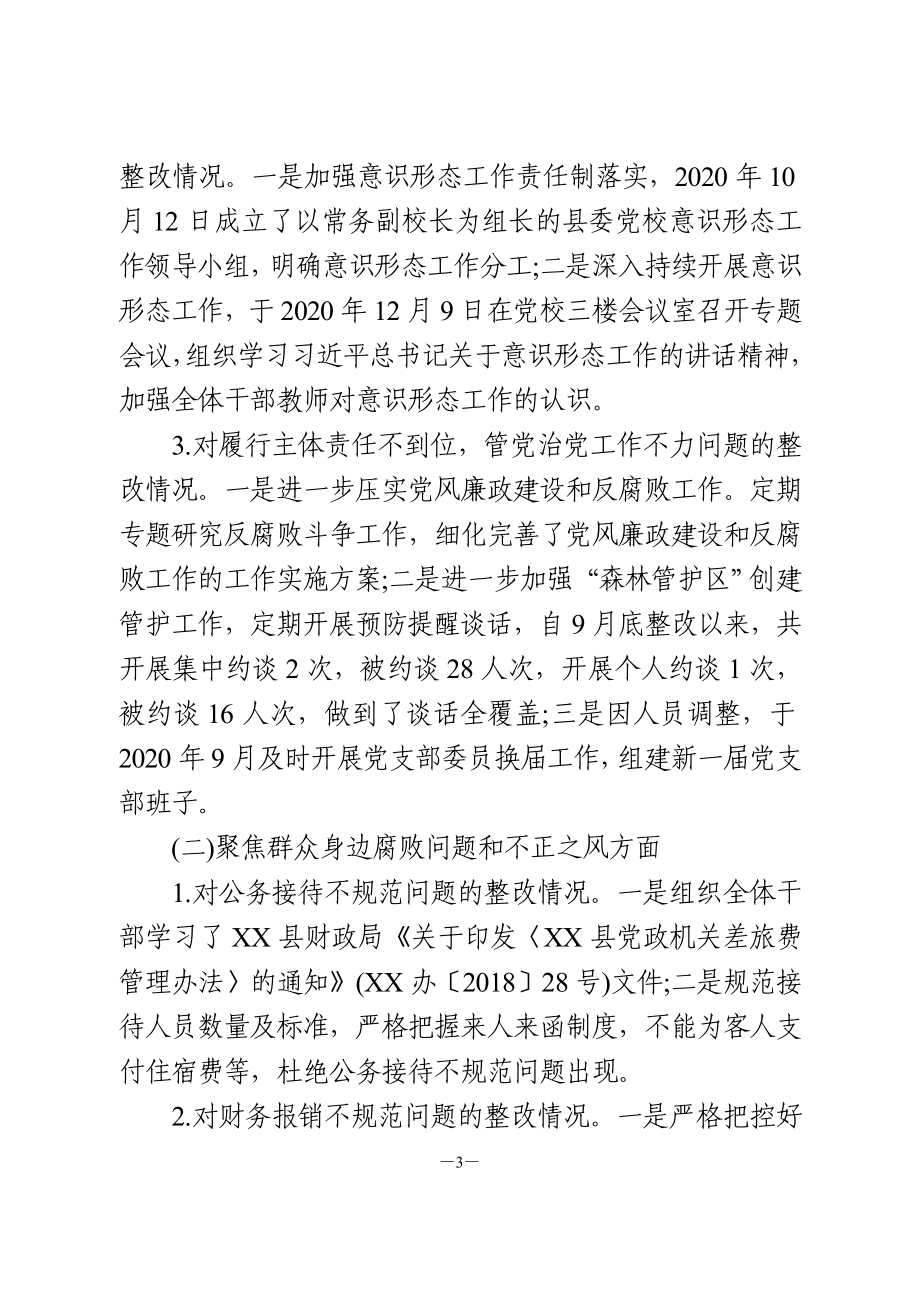 巡察整改落实情况报告.doc_第3页