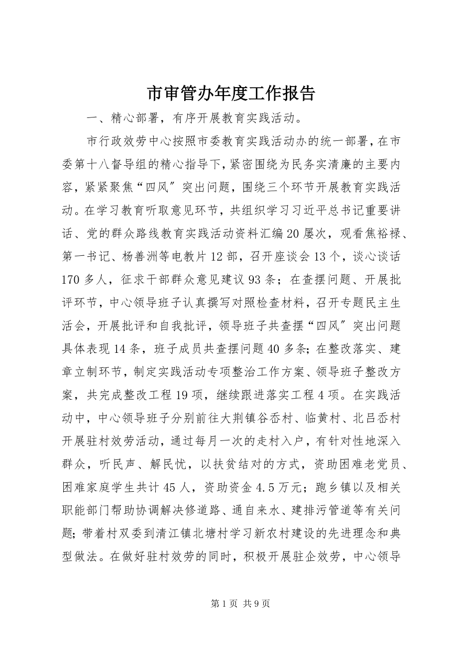 2023年市审管办年度工作报告.docx_第1页