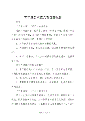 2023年青年党员六查六看自查报告.docx