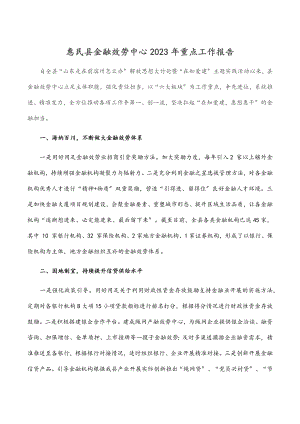 惠民县金融服务中心重点工作报告范文.docx