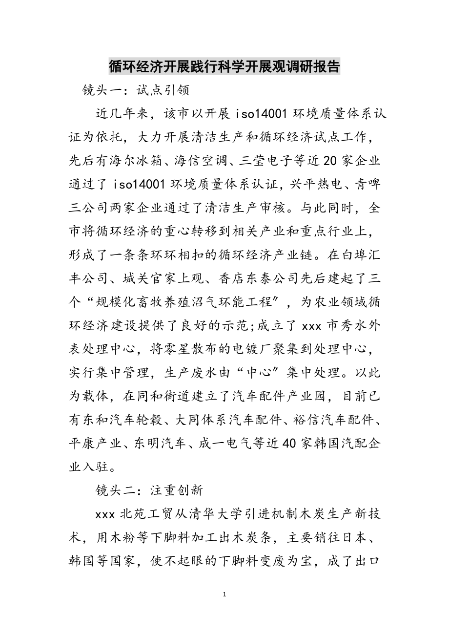 2023年循环经济发展践行科学发展观调研报告范文.doc_第1页