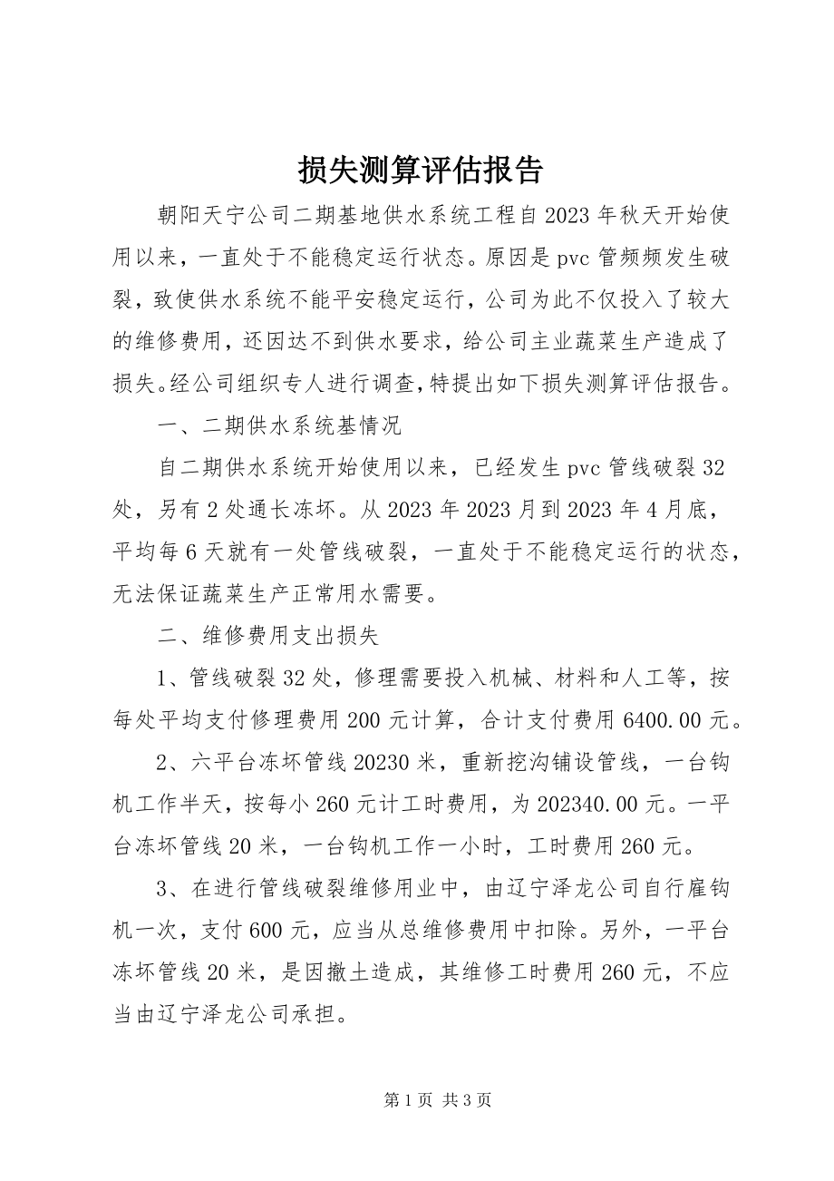 2023年损失测算评估报告.docx_第1页