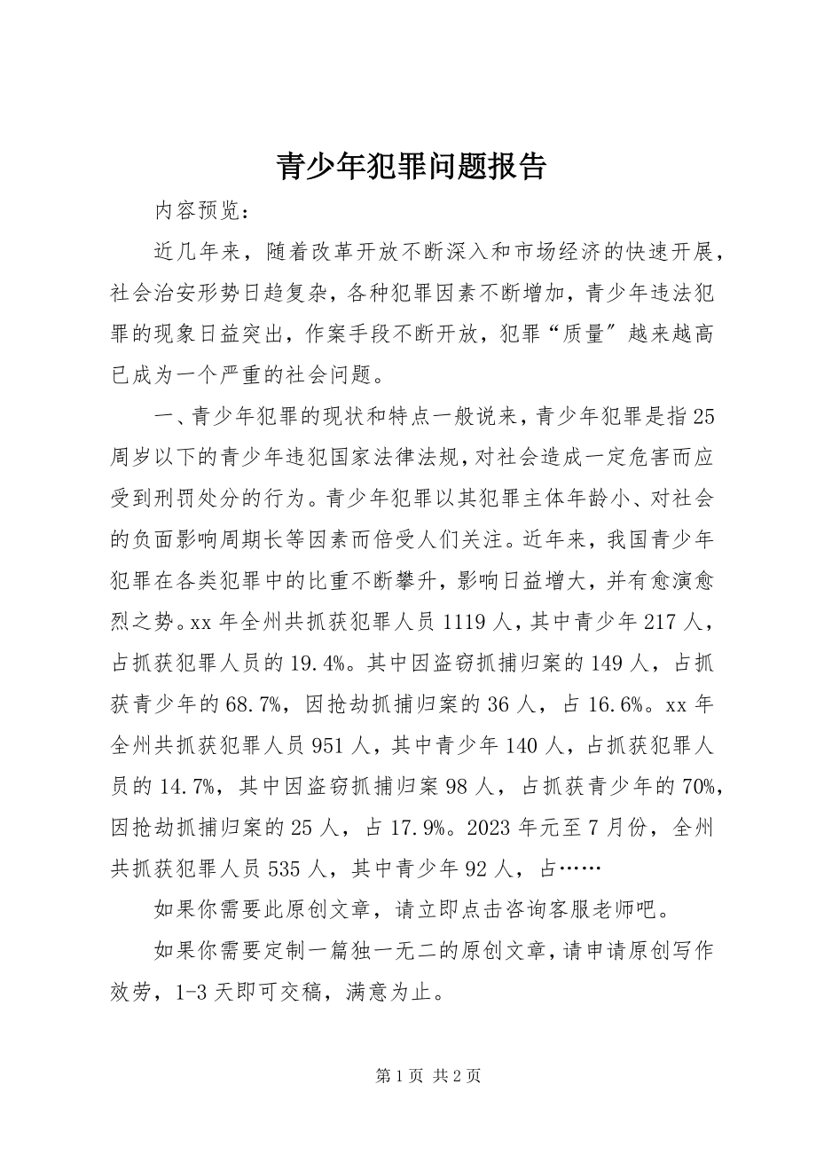 2023年青少年犯罪问题报告.docx_第1页