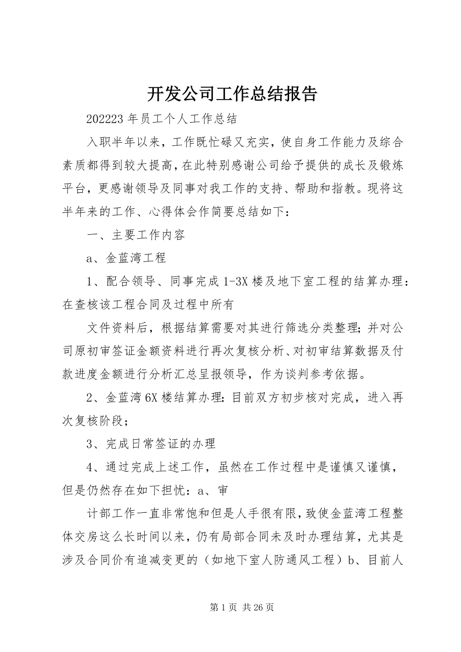 2023年开发公司工作总结报告.docx_第1页