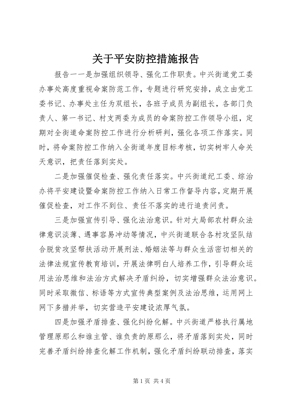 2023年安全防控措施报告.docx_第1页