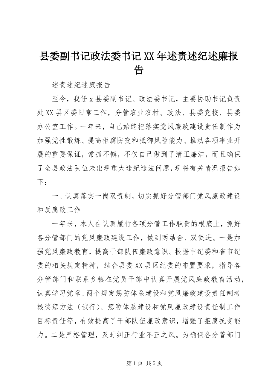 2023年县委副书记政法委书记述责述纪述廉报告.docx_第1页