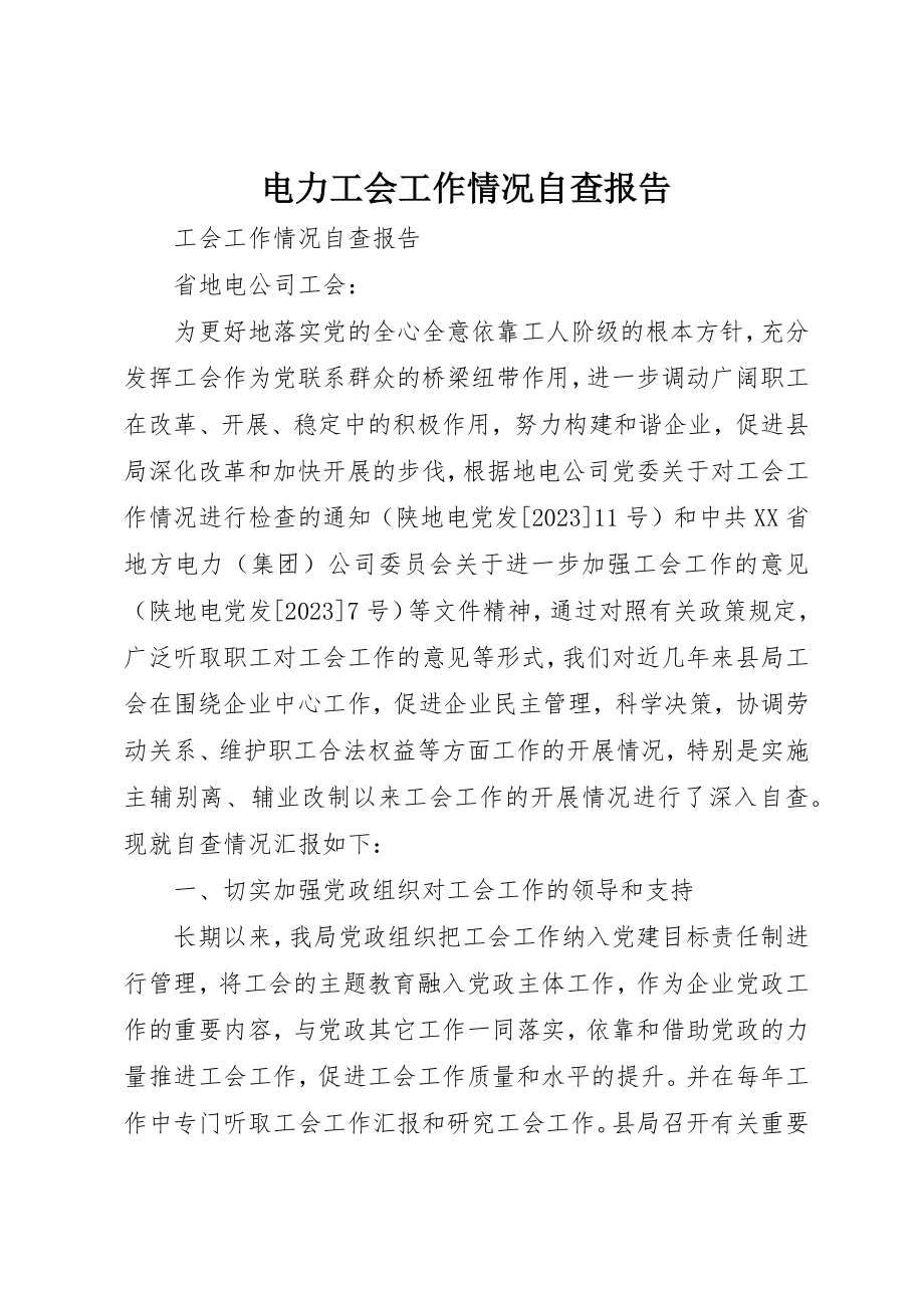 2023年电力工会工作情况自查报告新编.docx_第1页