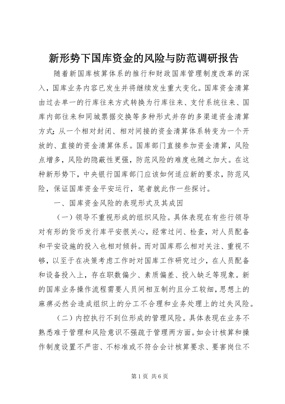 2023年新形势下国库资金的风险与防范调研报告.docx_第1页