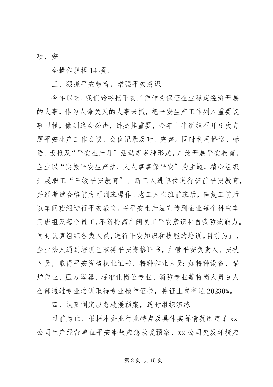 2023年安全生产工作履职报告新编.docx_第2页