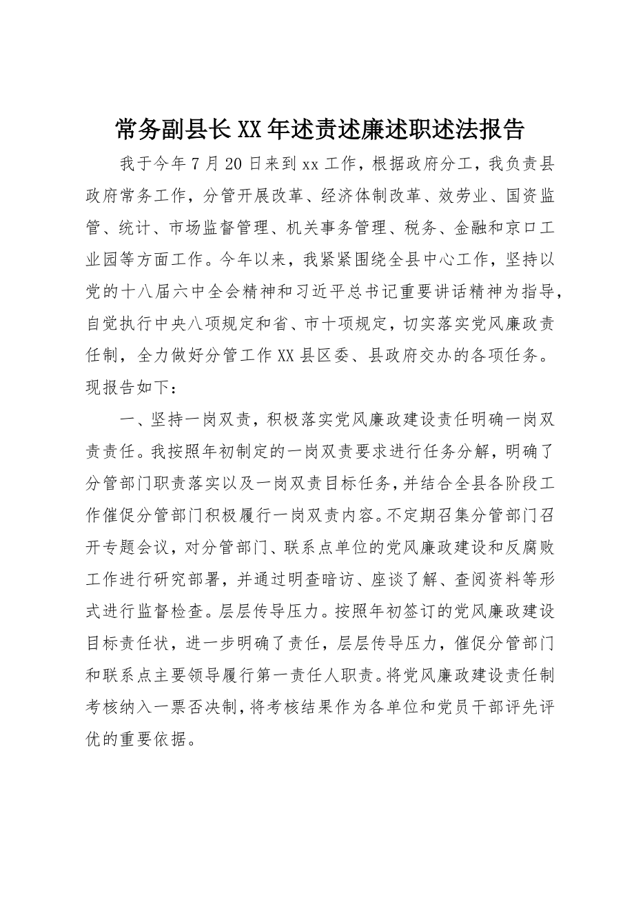 2023年常务副县长某年述责述廉述职述法报告新编.docx_第1页