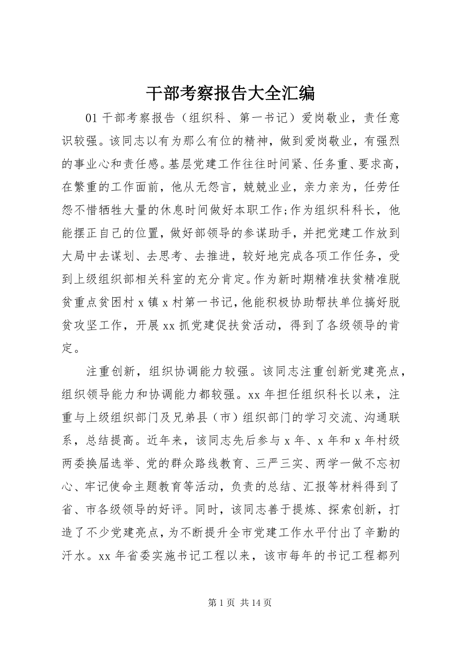 2023年干部考察报告大全汇编.docx_第1页