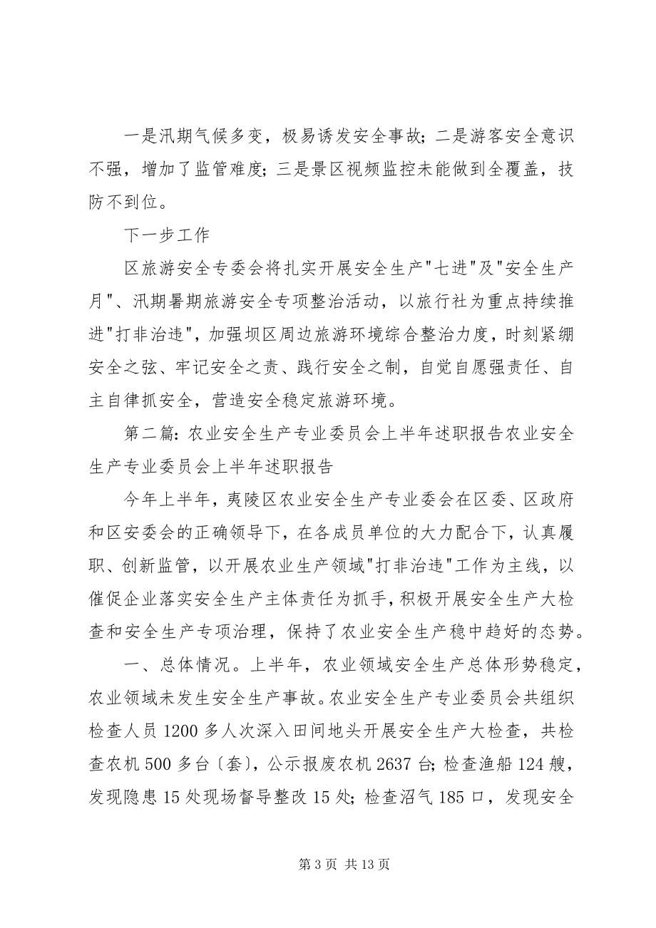 2023年旅游安全生产专业委员会上半年述职报告.docx_第3页