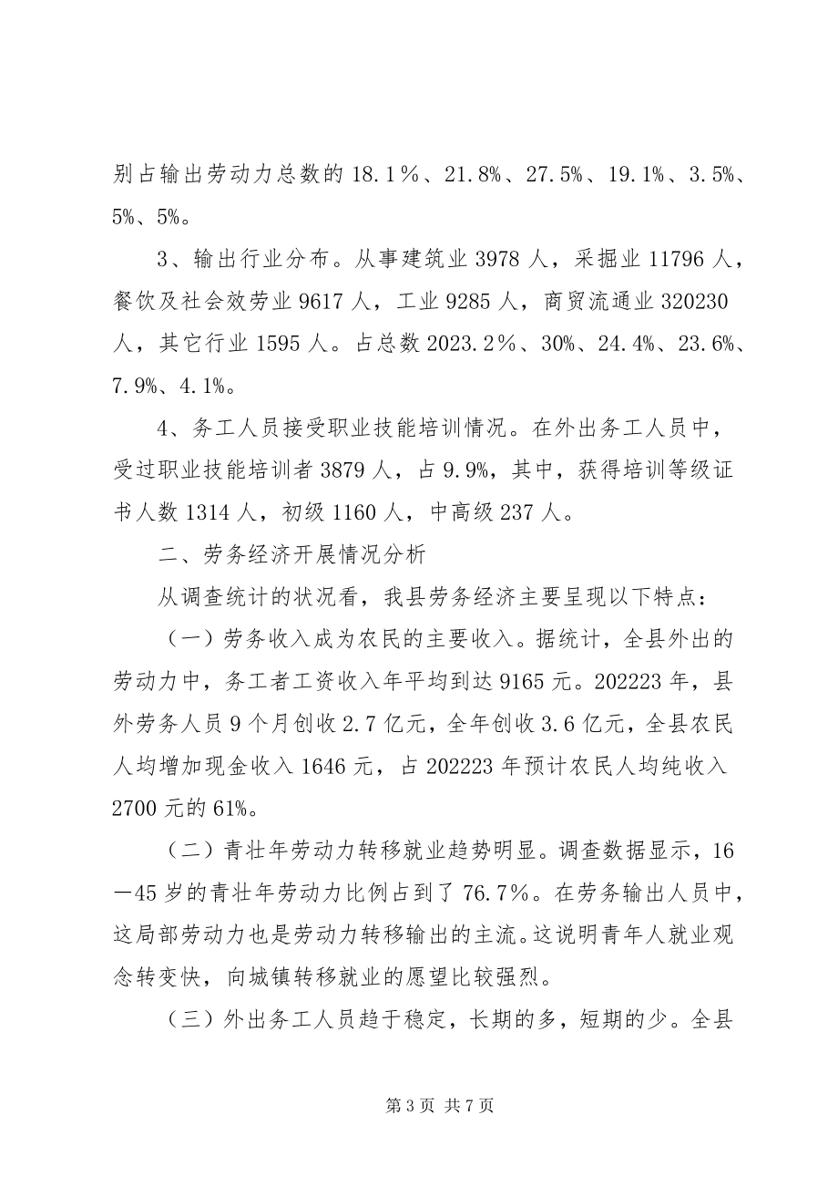 2023年县劳务经济调研报告.docx_第3页