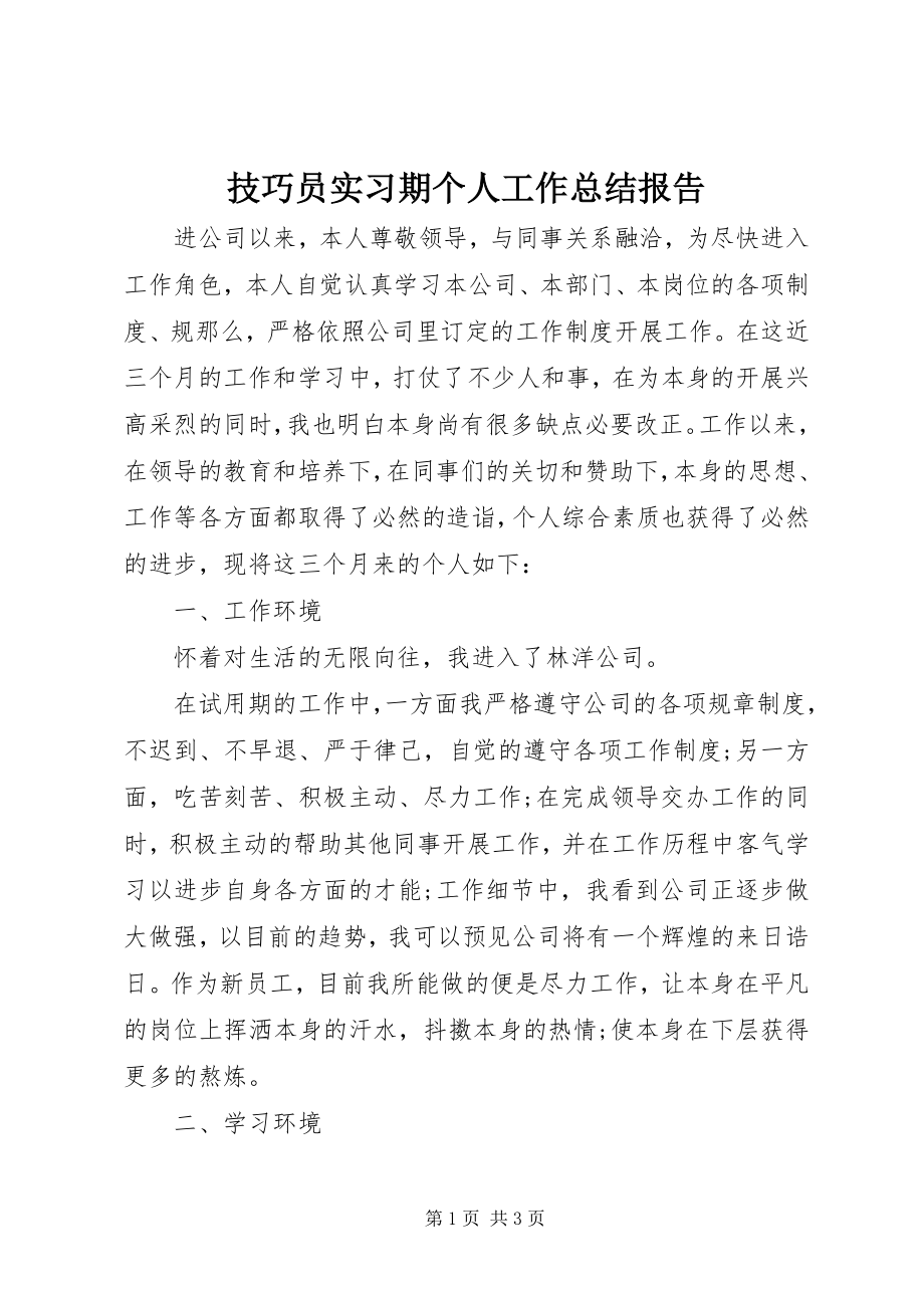 2023年技巧员实习期个人工作总结报告.docx_第1页