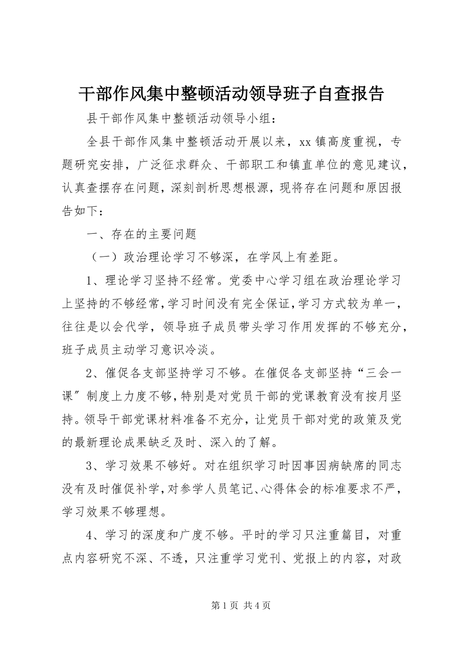 2023年干部作风集中整顿活动领导班子自查报告.docx_第1页