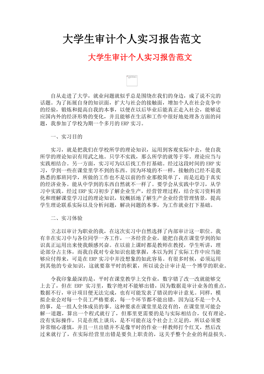 2023年大学生审计个人实习报告范文.doc_第1页