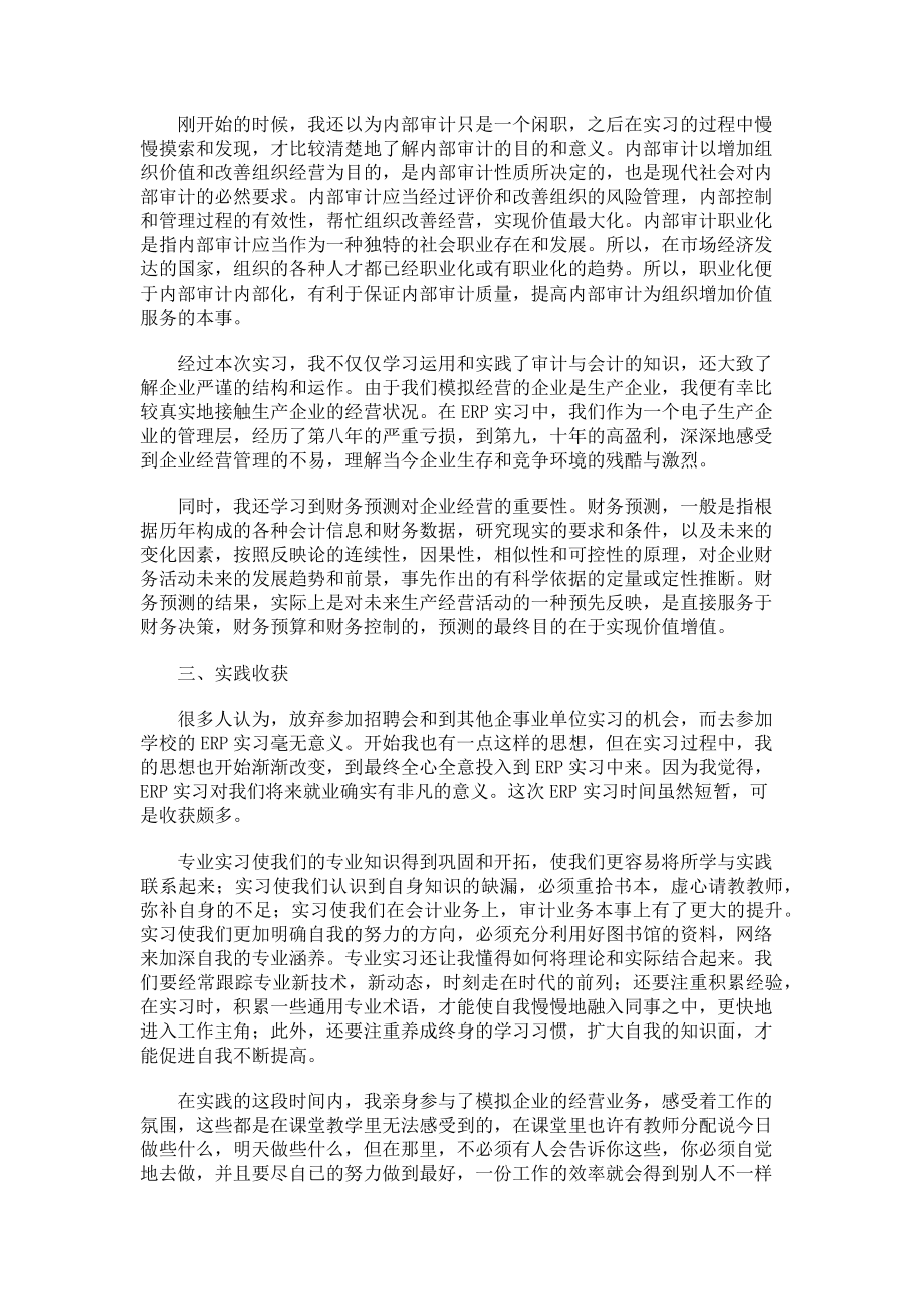 2023年大学生审计个人实习报告范文.doc_第2页