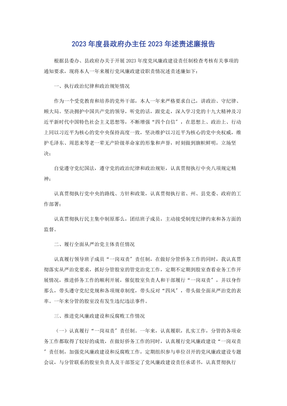 2023年度县政府办主任述责述廉报告.docx_第1页