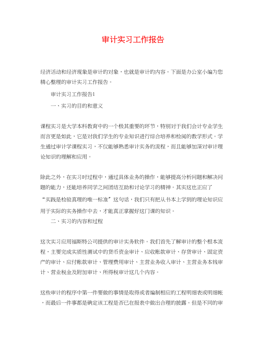 2023年精选审计实习工作报告.docx_第1页