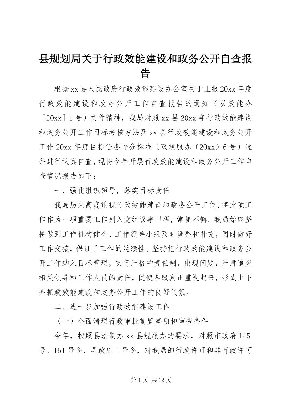 2023年县规划局关于行政效能建设和政务公开自查报告.docx_第1页