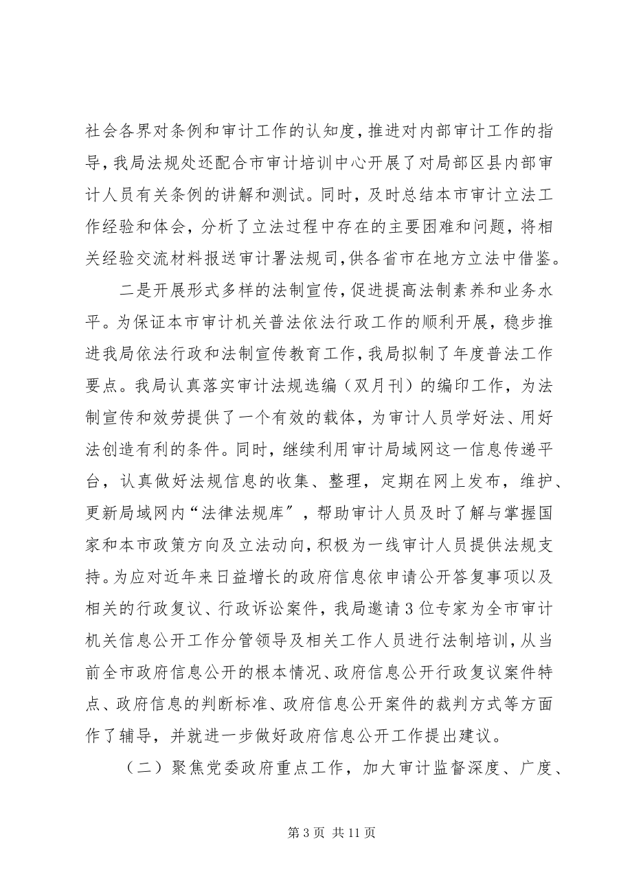 2023年市审计局依法行政工作报告材料.docx_第3页