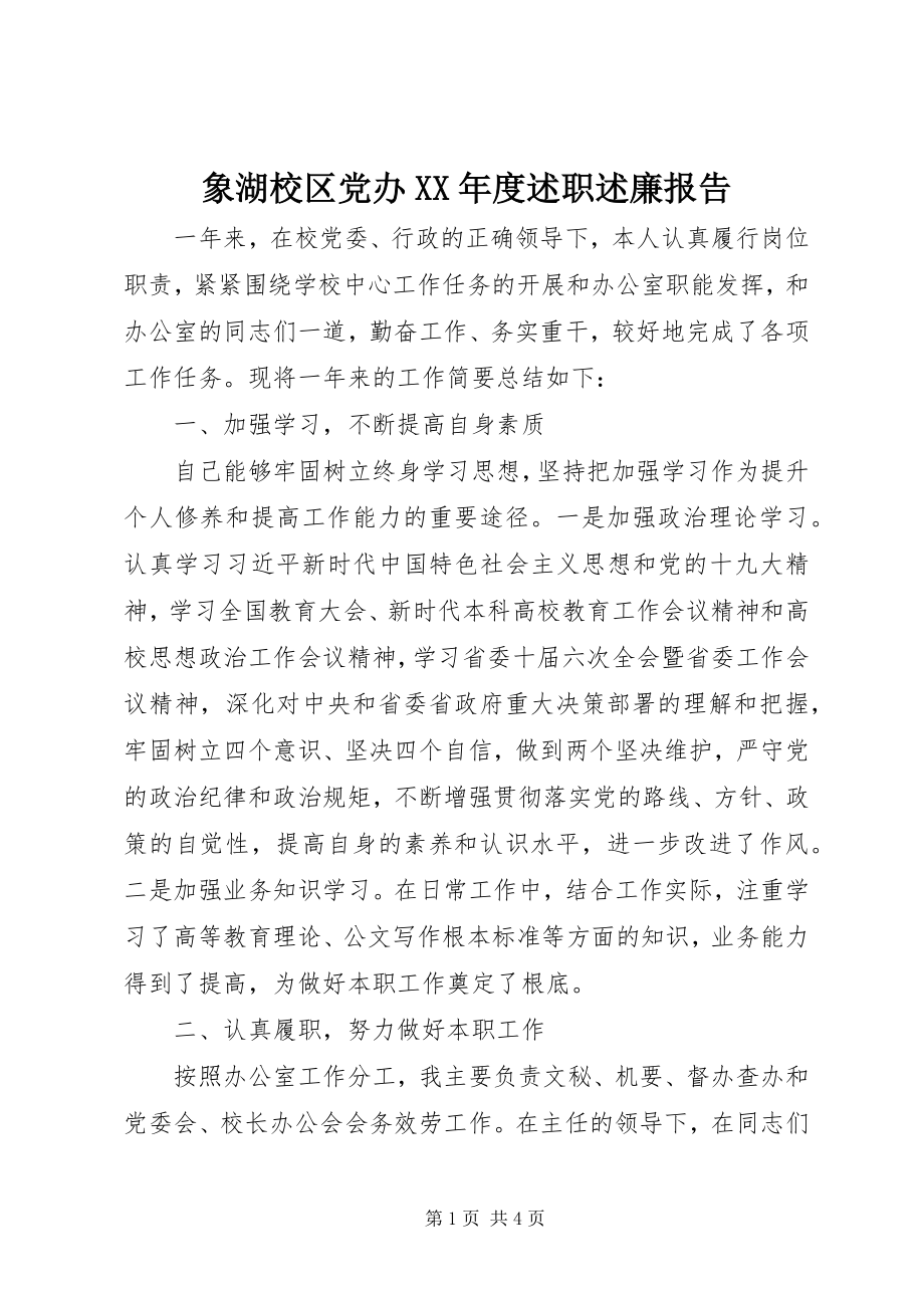 2023年象湖校区党办度述职述廉报告.docx_第1页