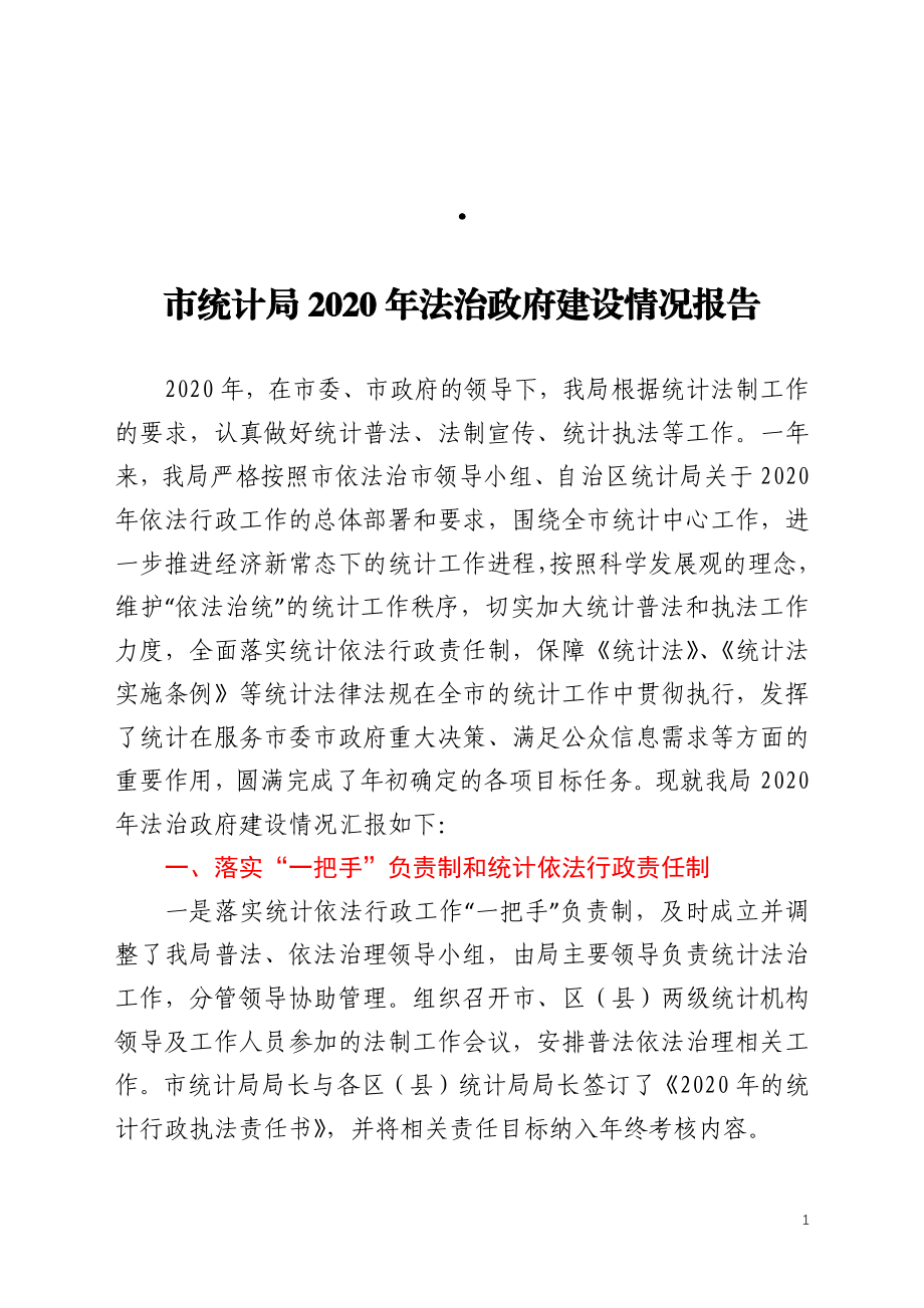 市统计局2020年法治政府建设情况报告.docx_第1页