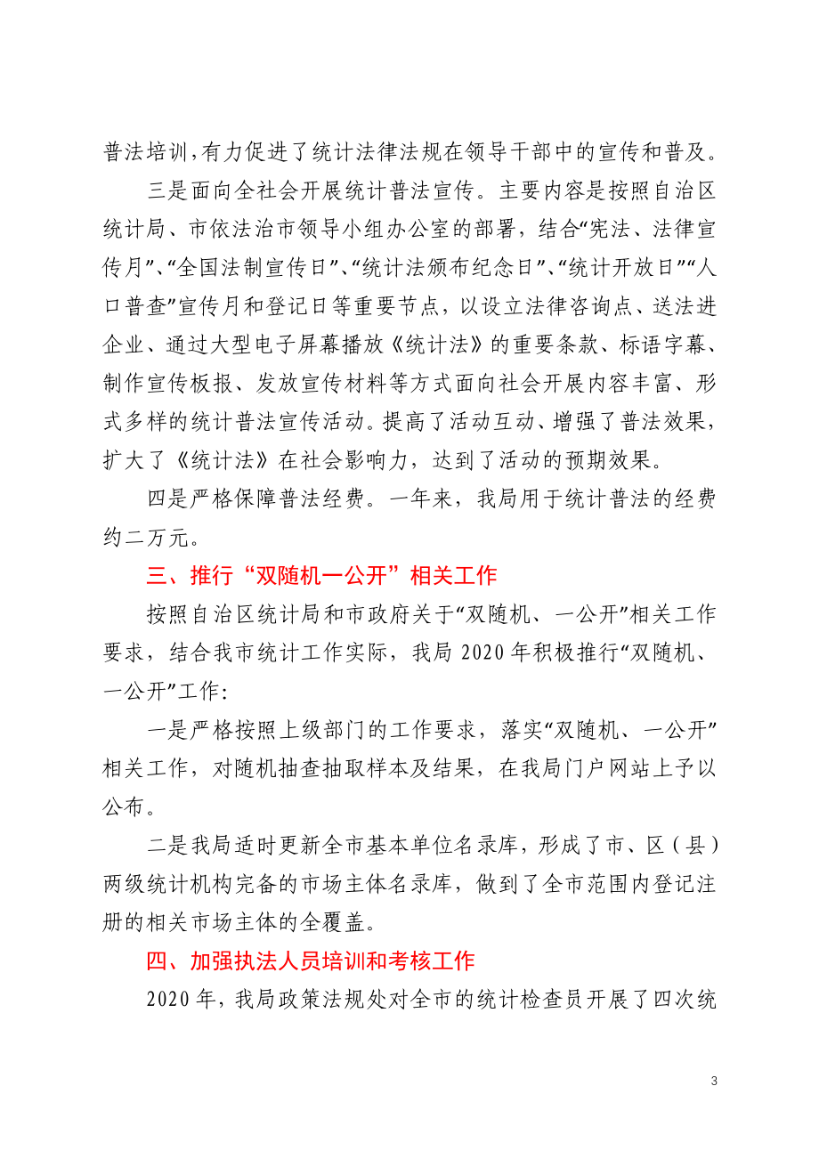 市统计局2020年法治政府建设情况报告.docx_第3页