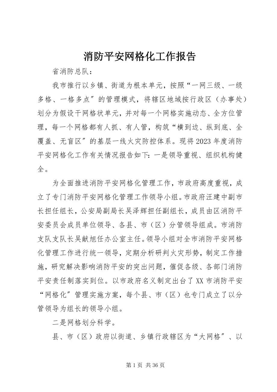 2023年消防安全网格化工作报告.docx_第1页