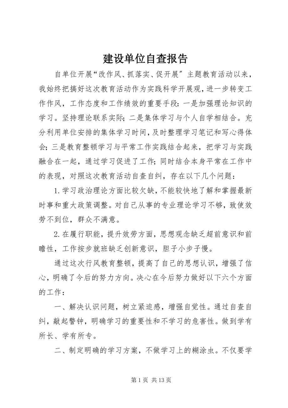 2023年建设单位自查报告.docx_第1页