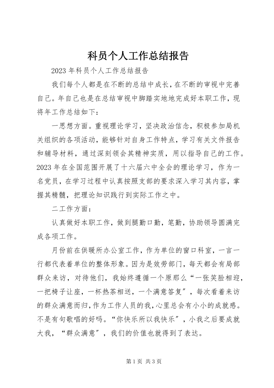 2023年科员个人工作总结报告.docx_第1页