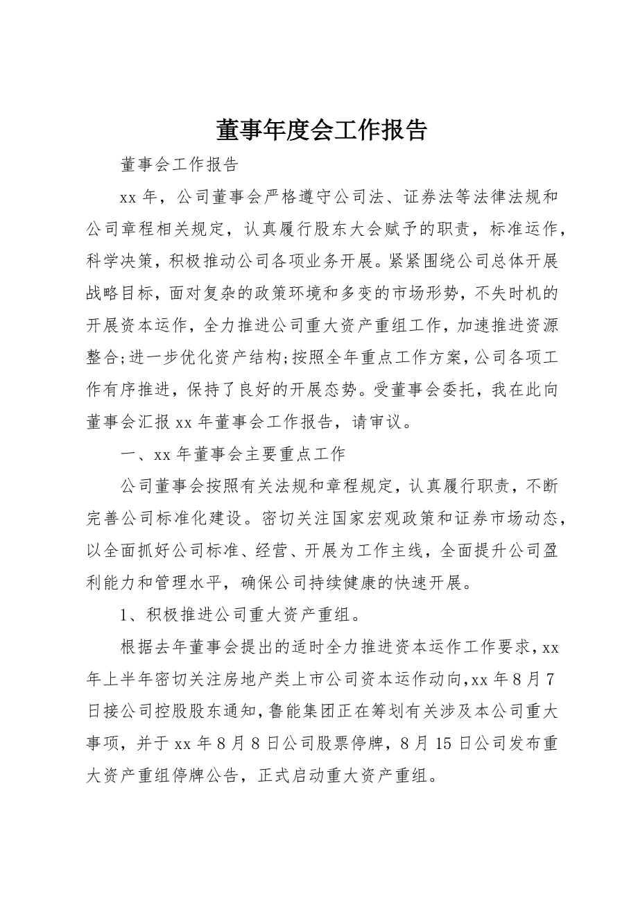 2023年董事年度会工作报告新编.docx_第1页