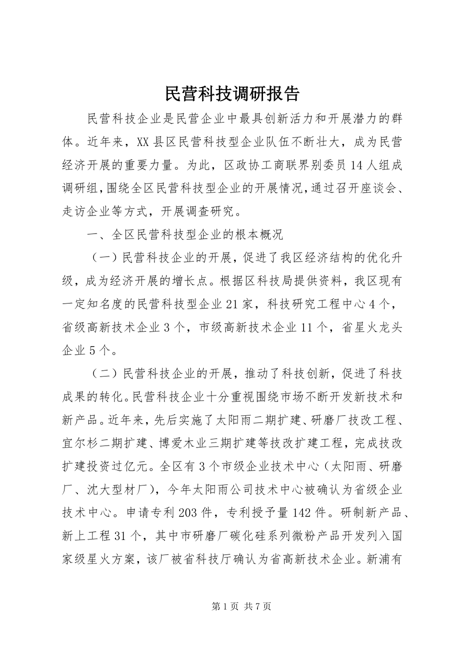 2023年民营科技调研报告.docx_第1页