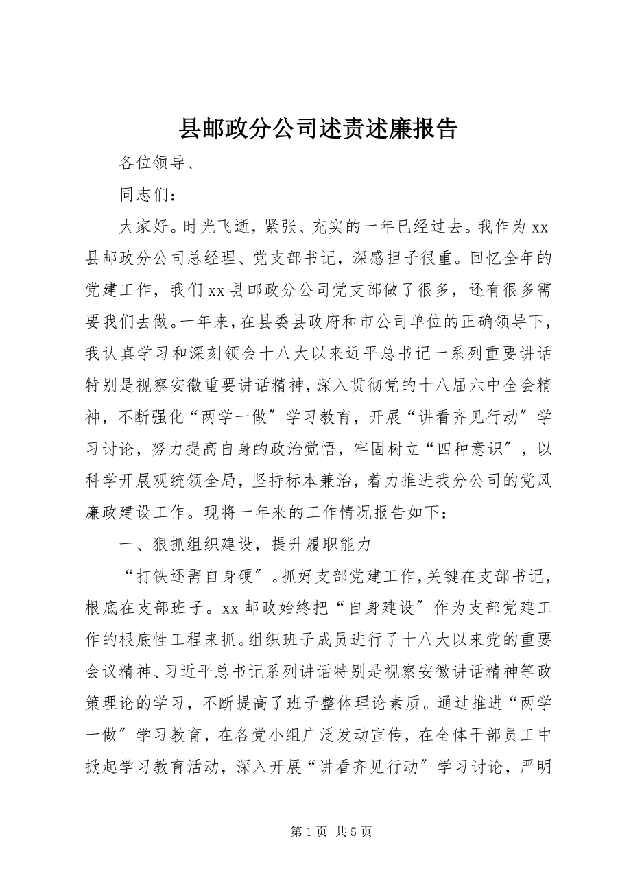 2023年县邮政分公司述责述廉报告.docx_第1页