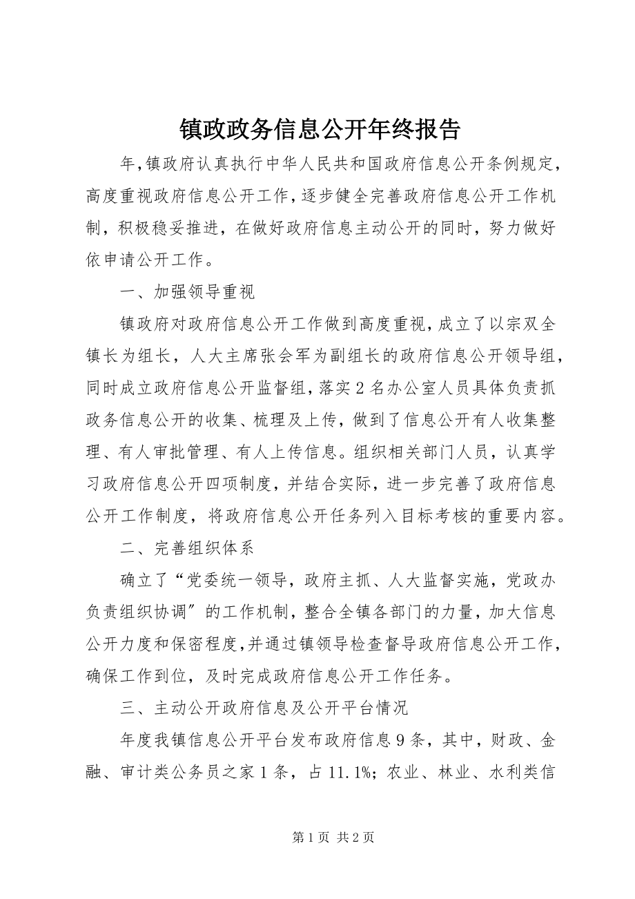 2023年镇政政务信息公开年终报告.docx_第1页