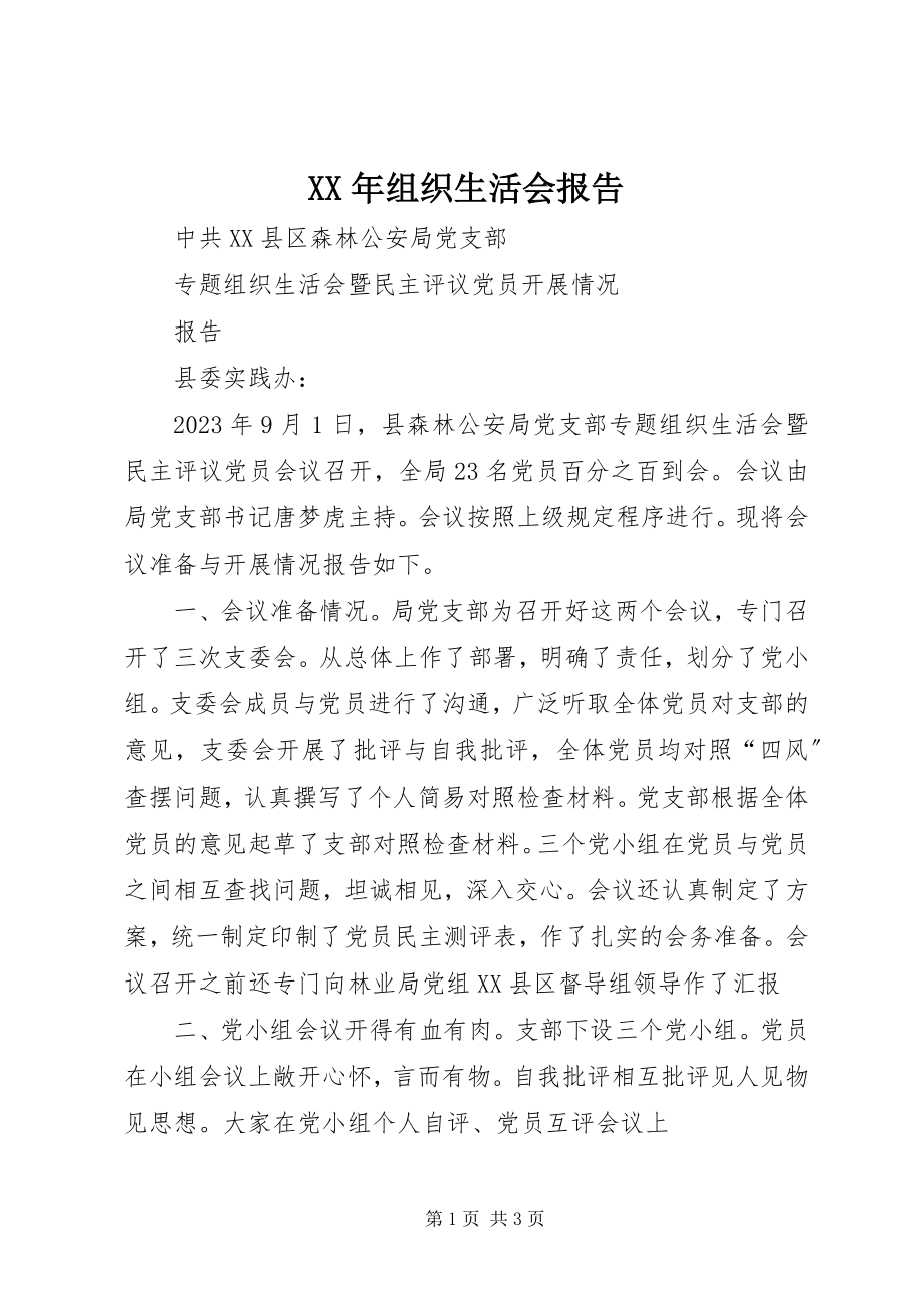 2023年组织生活会报告.docx_第1页