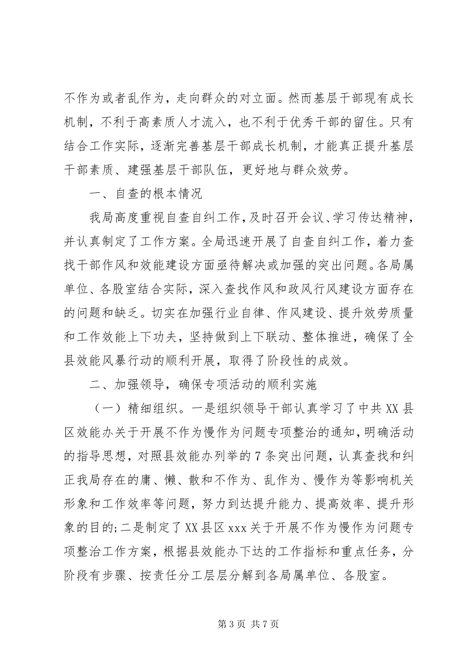 2023年干部不作为乱作为自查报告.docx_第3页