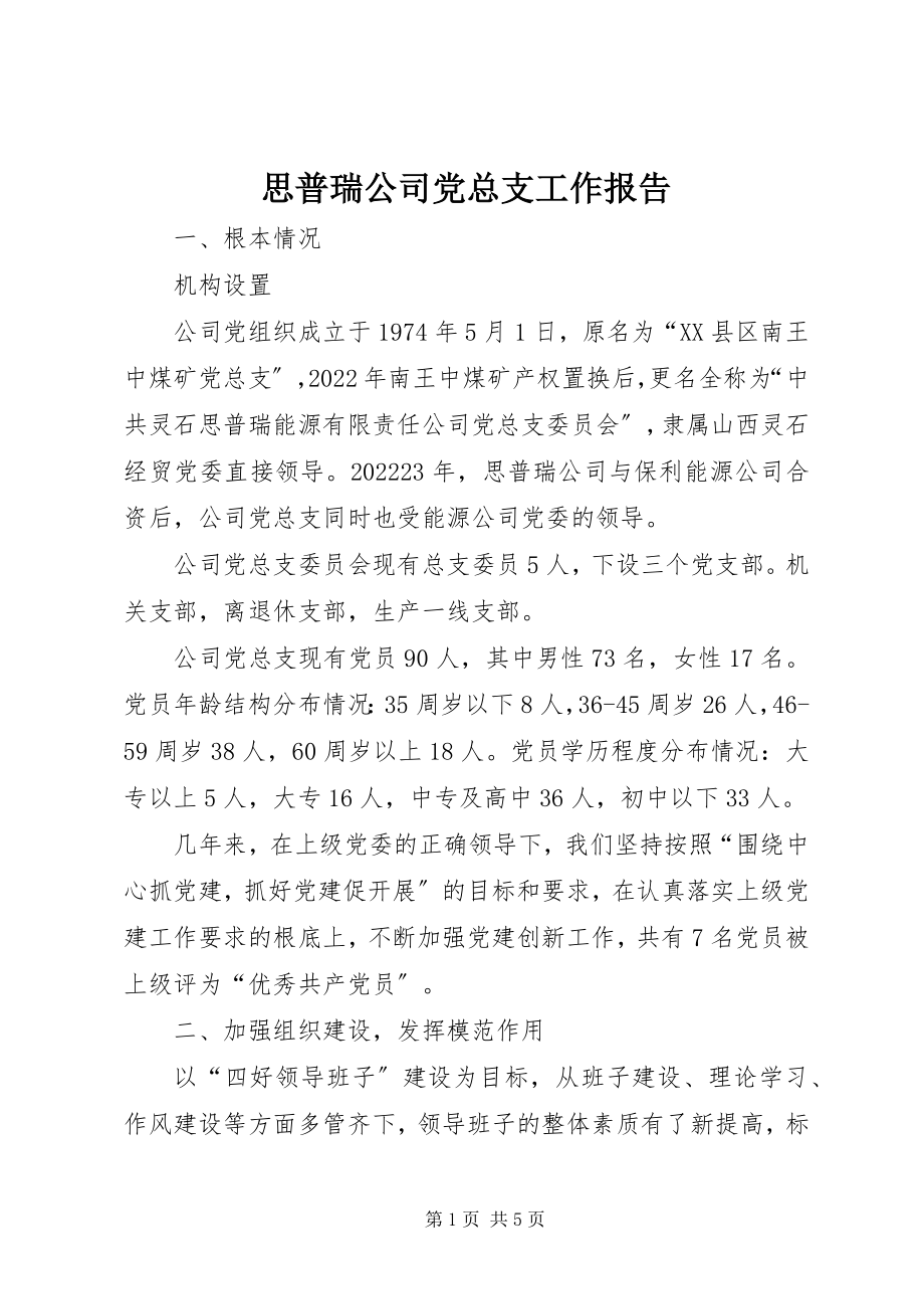 2023年思普瑞公司党总支工作报告.docx_第1页