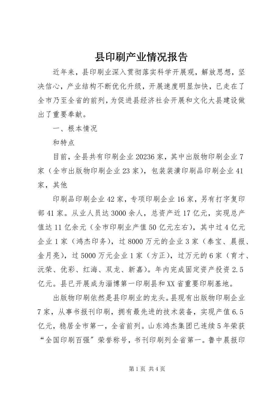 2023年县印刷产业情况报告.docx_第1页