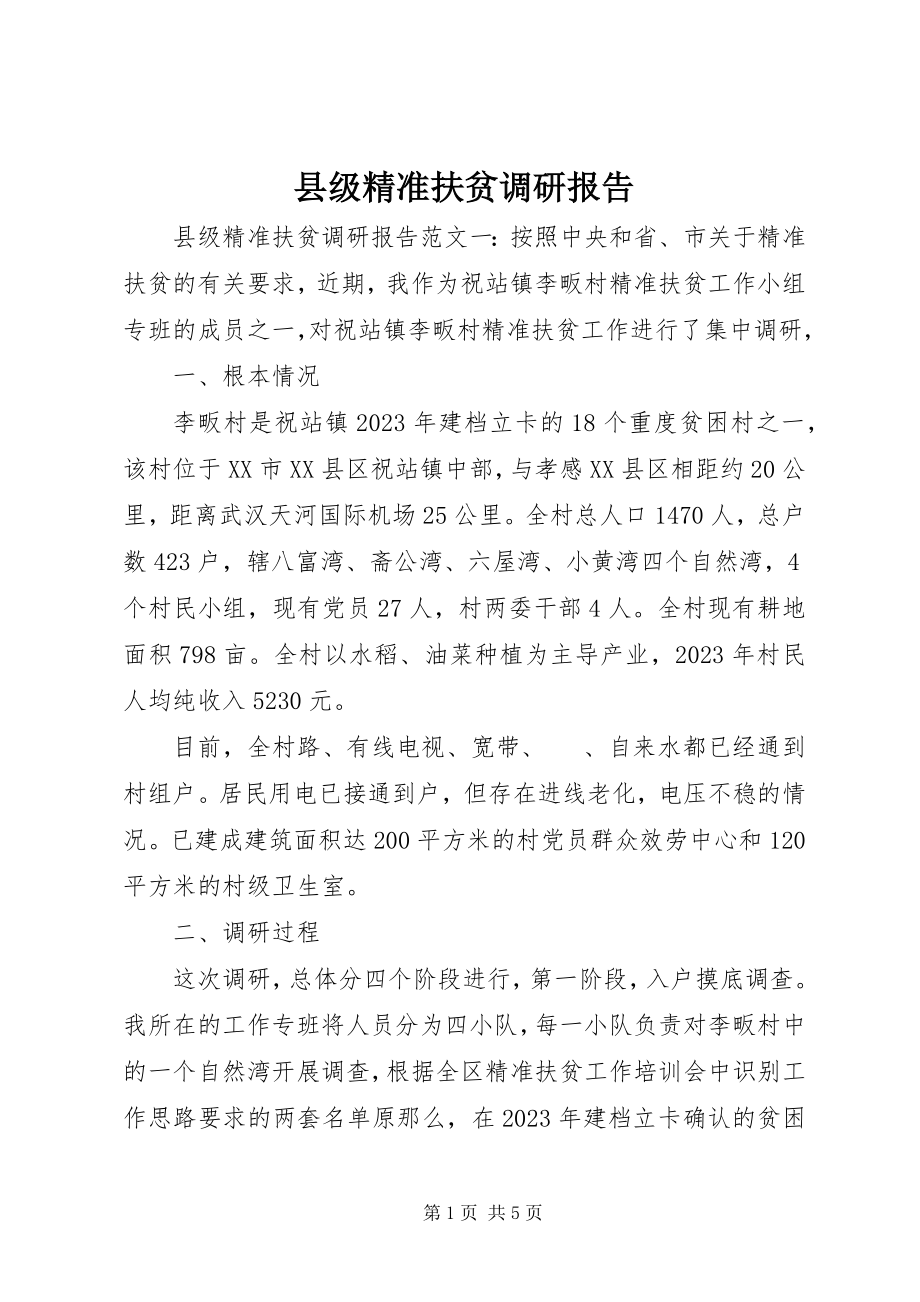 2023年县级精准扶贫调研报告.docx_第1页