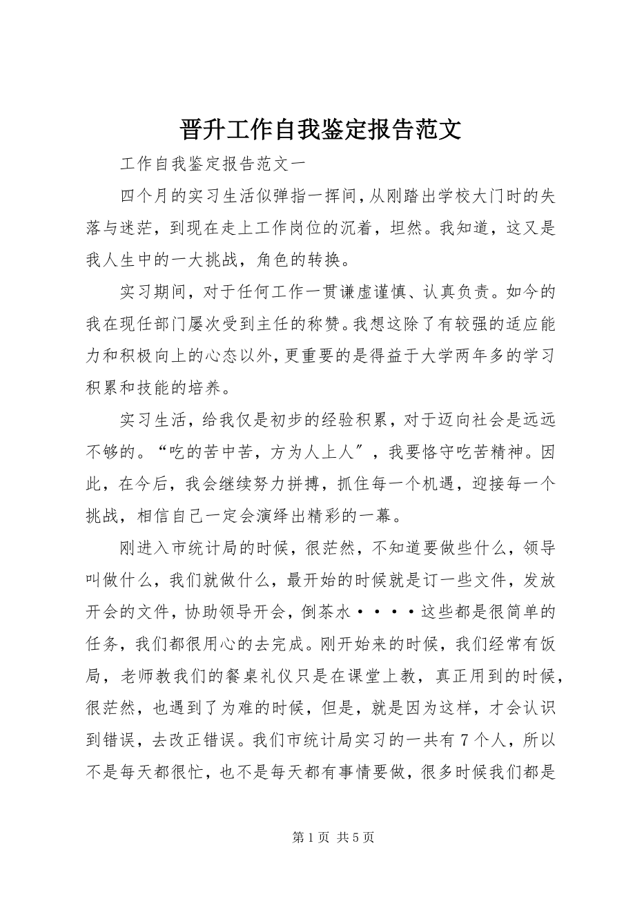 2023年晋升工作自我鉴定报告.docx_第1页