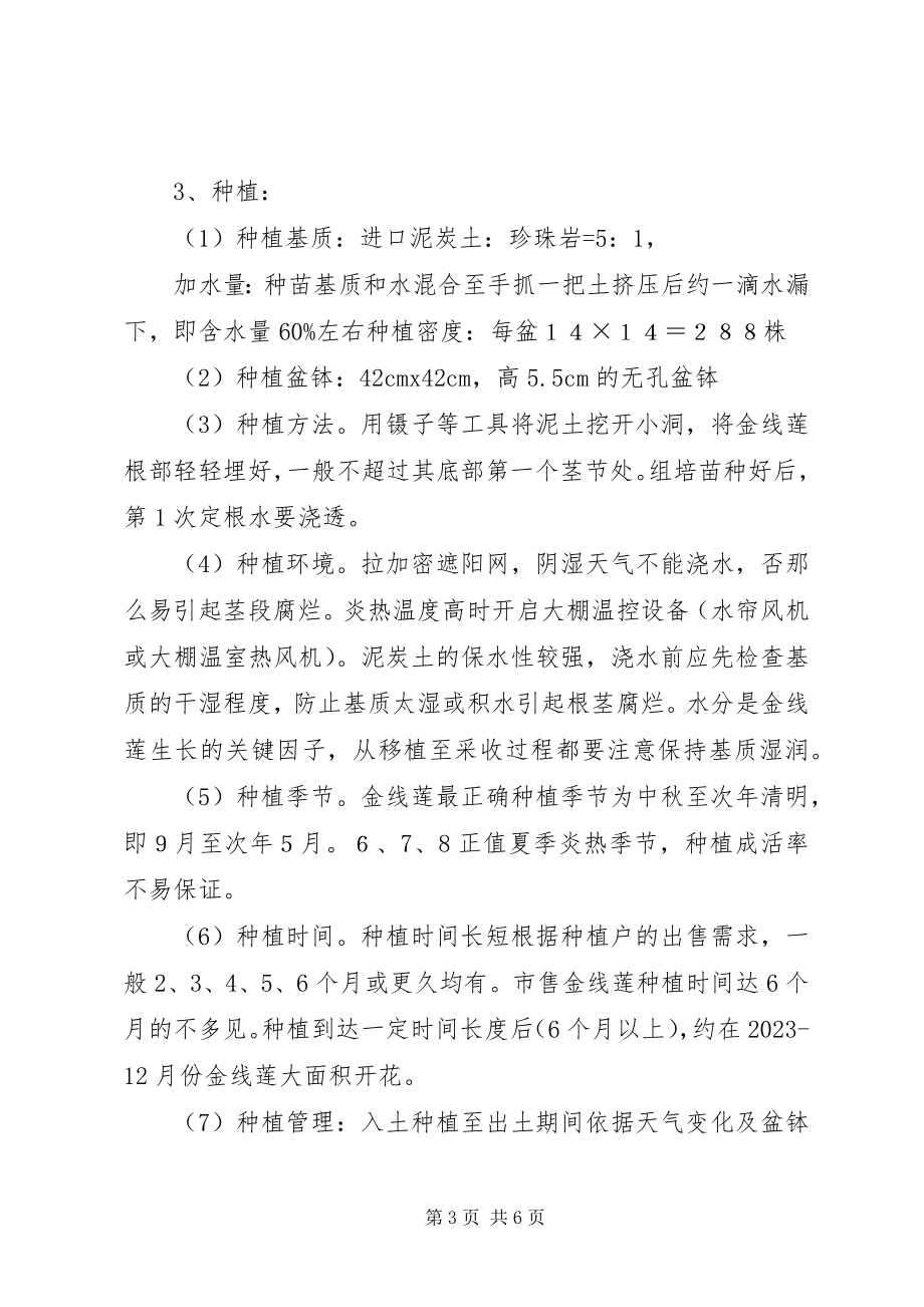 2023年金线莲调研报告523529.docx_第3页