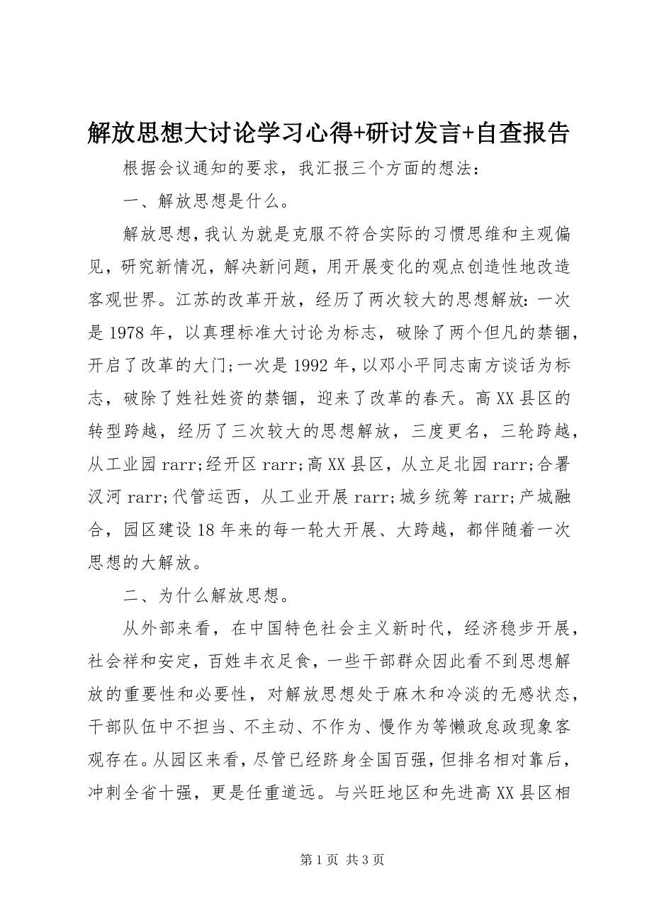 2023年解放思想大讨论学习心得研讨讲话自查报告.docx_第1页