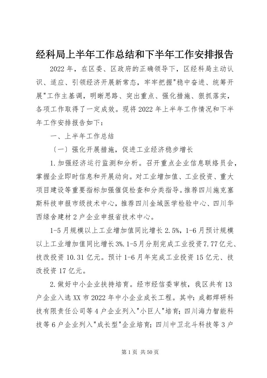 2023年经科局上半年工作总结和下半工作安排报告.docx_第1页