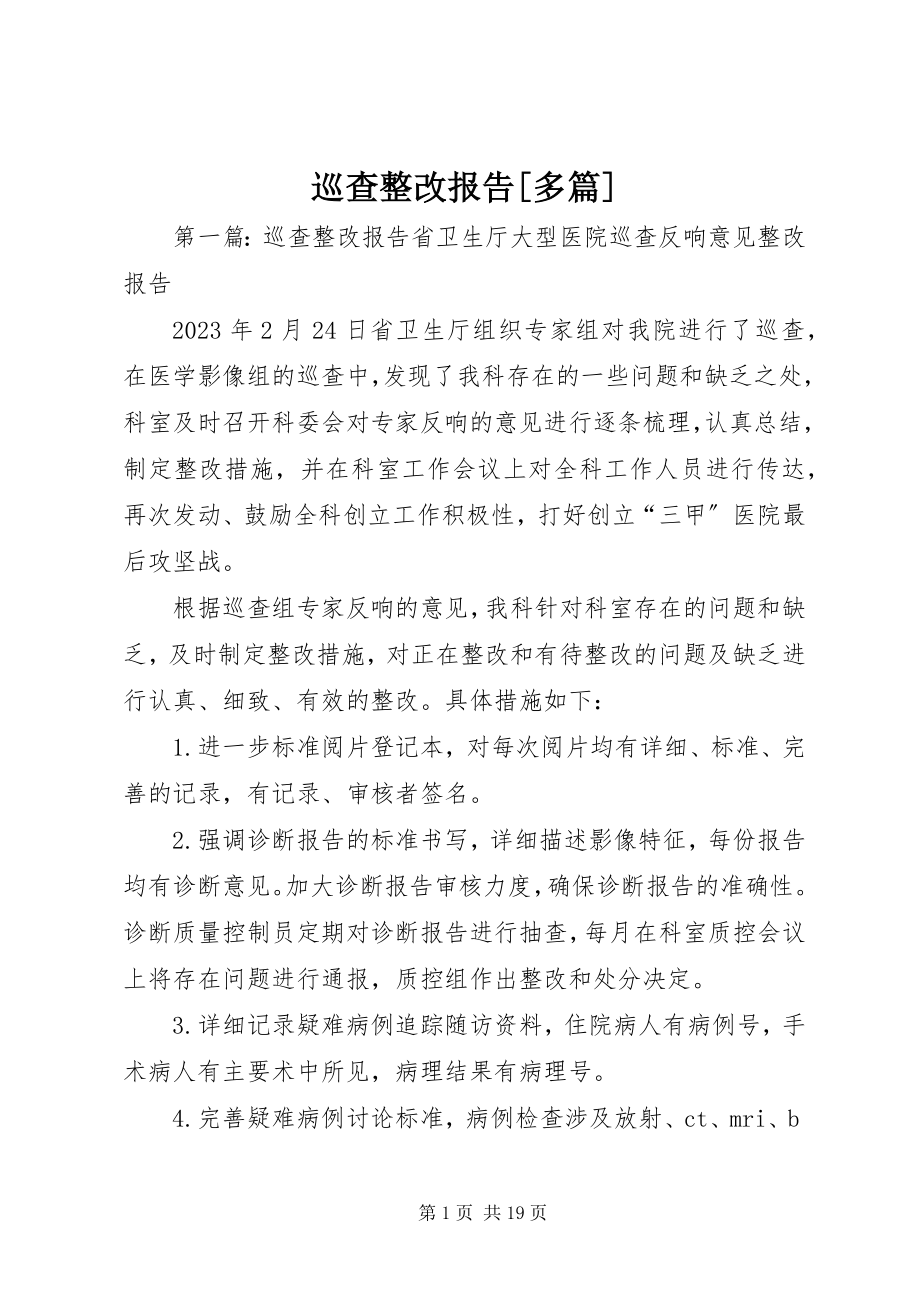 2023年巡查整改报告多篇.docx_第1页