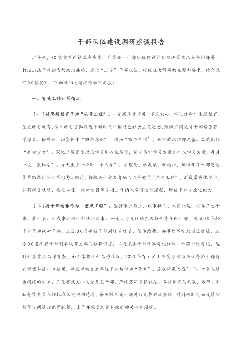 2023年干部队伍建设调研座谈报告.docx_第1页