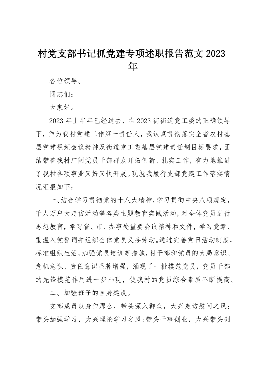 2023年村党支部书记抓党建专项述职报告某年新编.docx_第1页