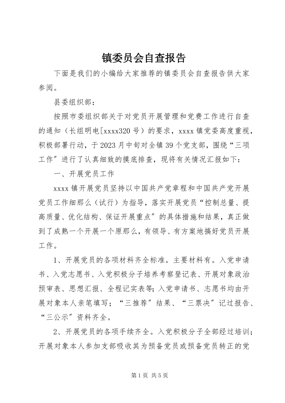 2023年镇委员会自查报告.docx_第1页